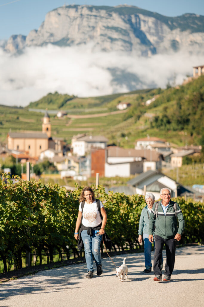 PALÙ – LE VOLPI E L’UVA